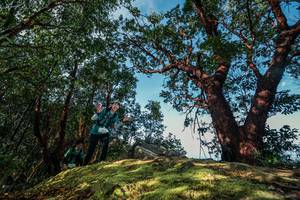 BIB: 
                            <button type="button" onclick="openModal(28598778)" class="btn btn-primary btn-sm float-right btn-popup" data-toggle="modal" data-target=".modal-high-quality">
                        <i class="fas fa-shopping-cart"></i> Add to Cart
                    </button>
                                            <button type="button" onclick="isThisMe(28598778, true)" class="btn btn-success btn-sm float-right btn-popup btn-isme hidden" data-toggle="tooltip" data-placement="bottom" title="นี่คือรูปของคุณใช่ไหม คลิกที่นี่เพื่อเอาเข้าอัลบั้ม">
                        <i class="fas fa-plus"></i> Add to album
                    </button>
                    <button type="button" onclick="isThisMe(28598778, false)" class="btn btn-warning btn-sm float-right btn-popup btn-isnotme hidden">
                        <i class="fas fa-ban"></i> Remove from album
                    </button>